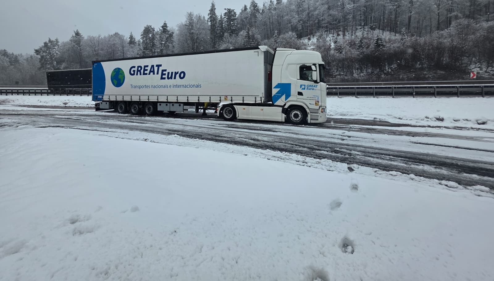 Caminhão e carreta diante de uma floresta coberta de neve